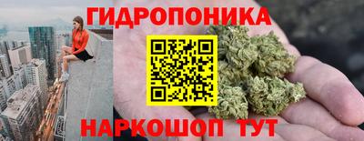 герыч Гатчина