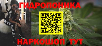 не бодяженный Гай