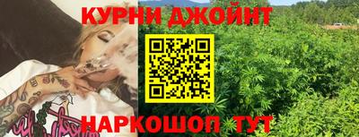 не бодяженный Гай