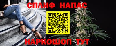 индика Абинск