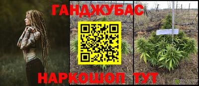 не бодяженный Гай
