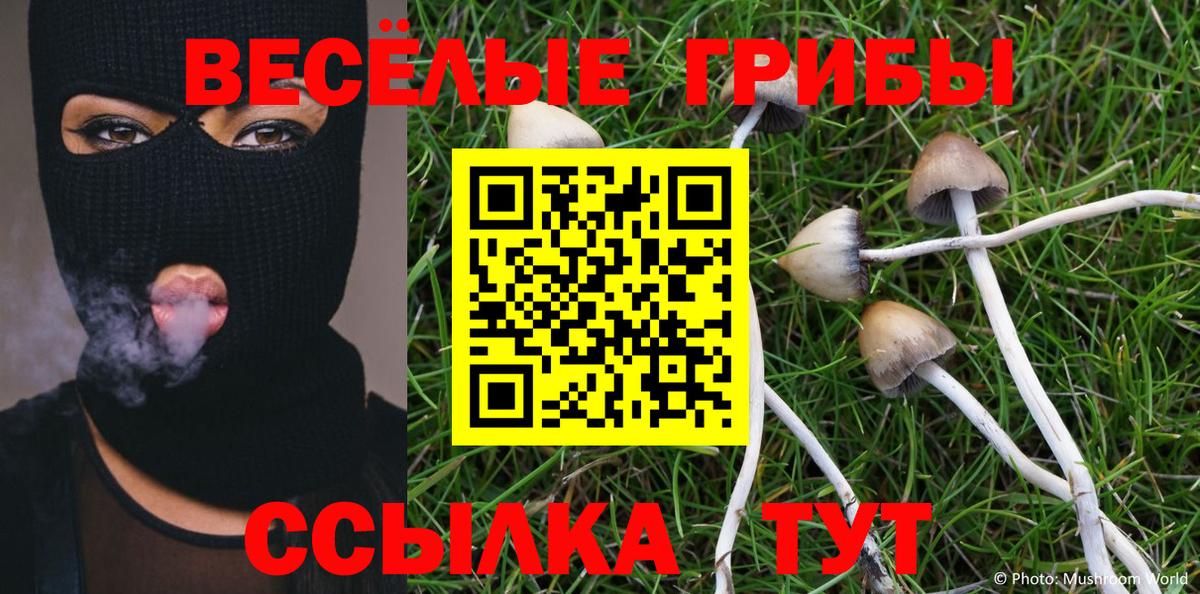 Галлюциногенные грибы мухоморы Амурск