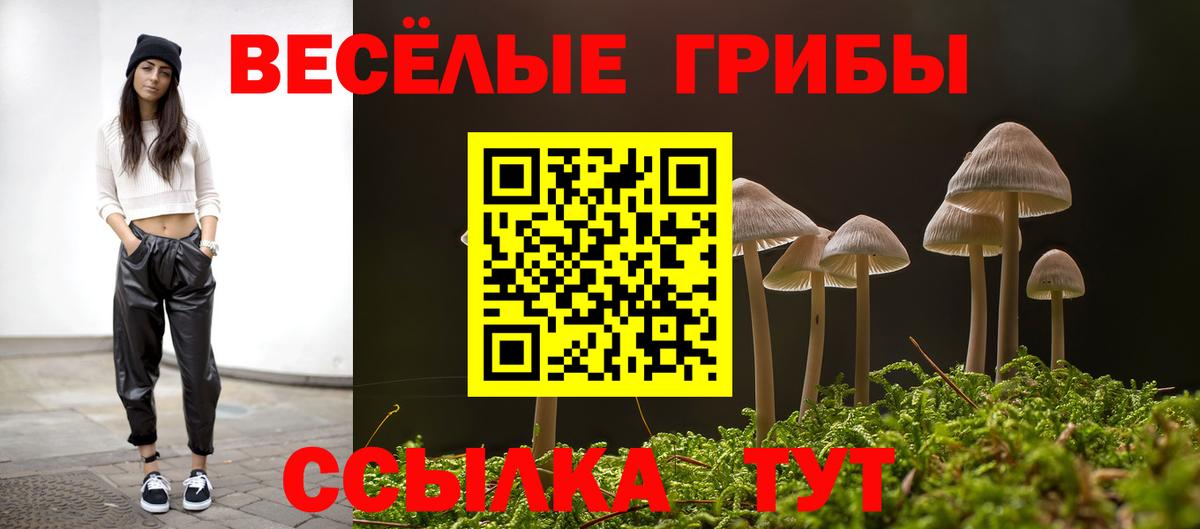 Псилоцибиновые грибы ЛСД  Вход с VPN  Галлюциногенные грибы мицелий  Амурск 